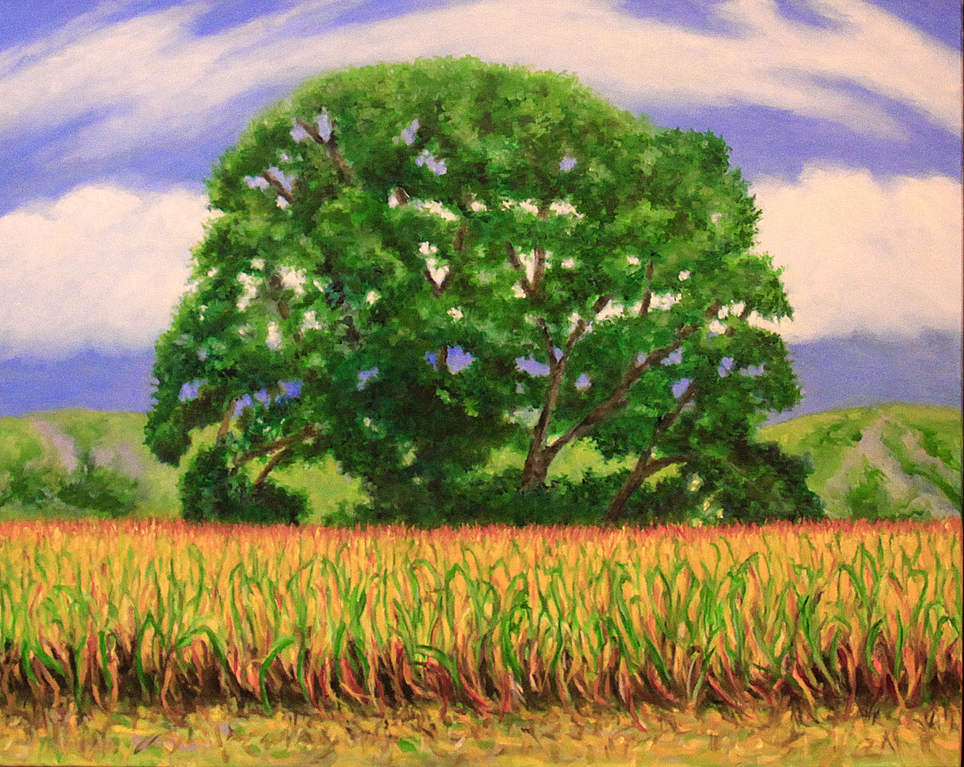The Great Meadows