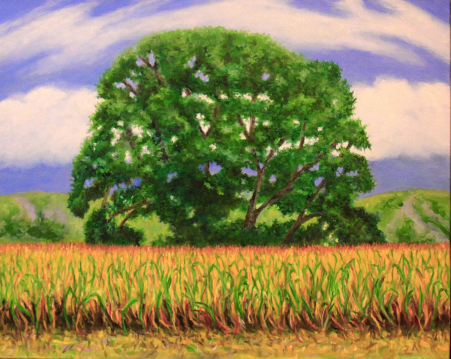 The Great Meadows