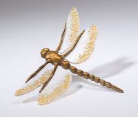 Gold Dragonfly