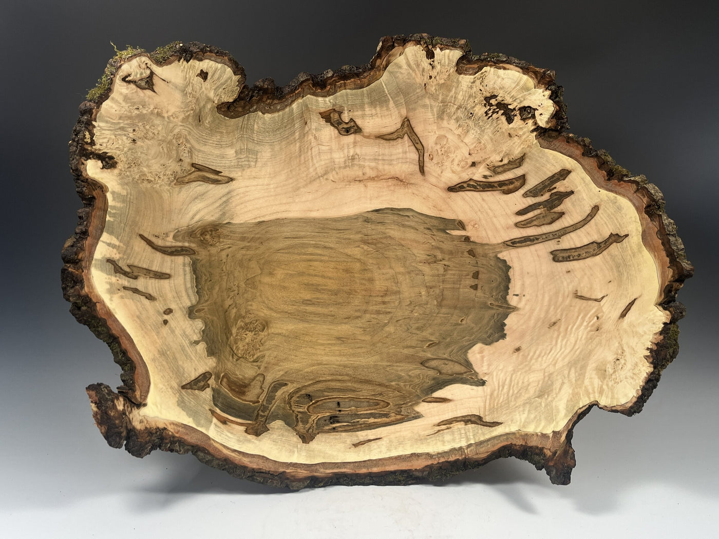 Natural Edge Maple Burl III