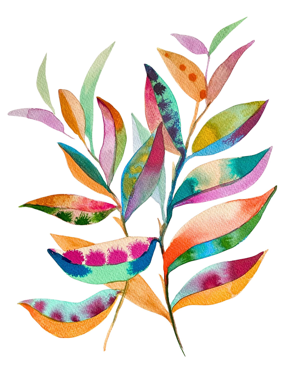 Unicorn Branch 4
