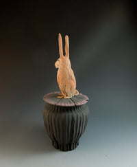 Jack Rabbit Box