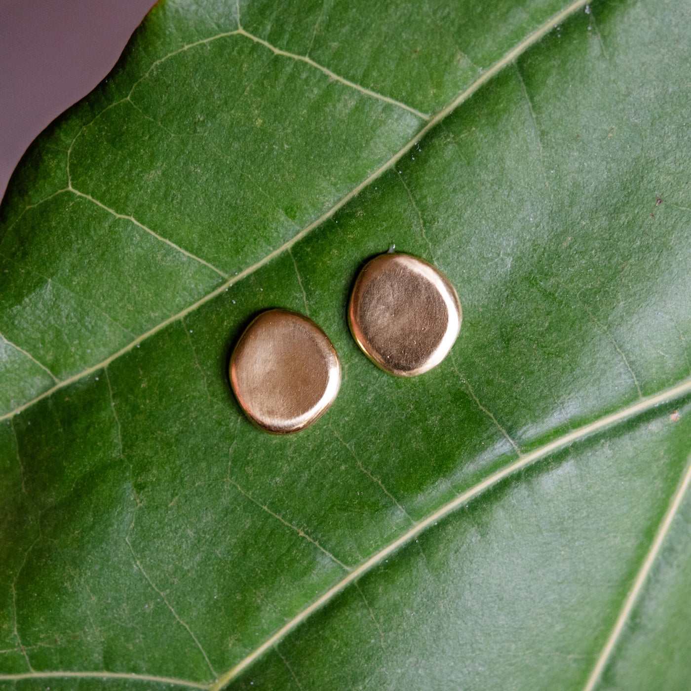 Small Petal Earrings
