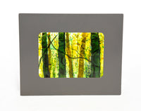 Sun Dappled Green Light (Illuminated)