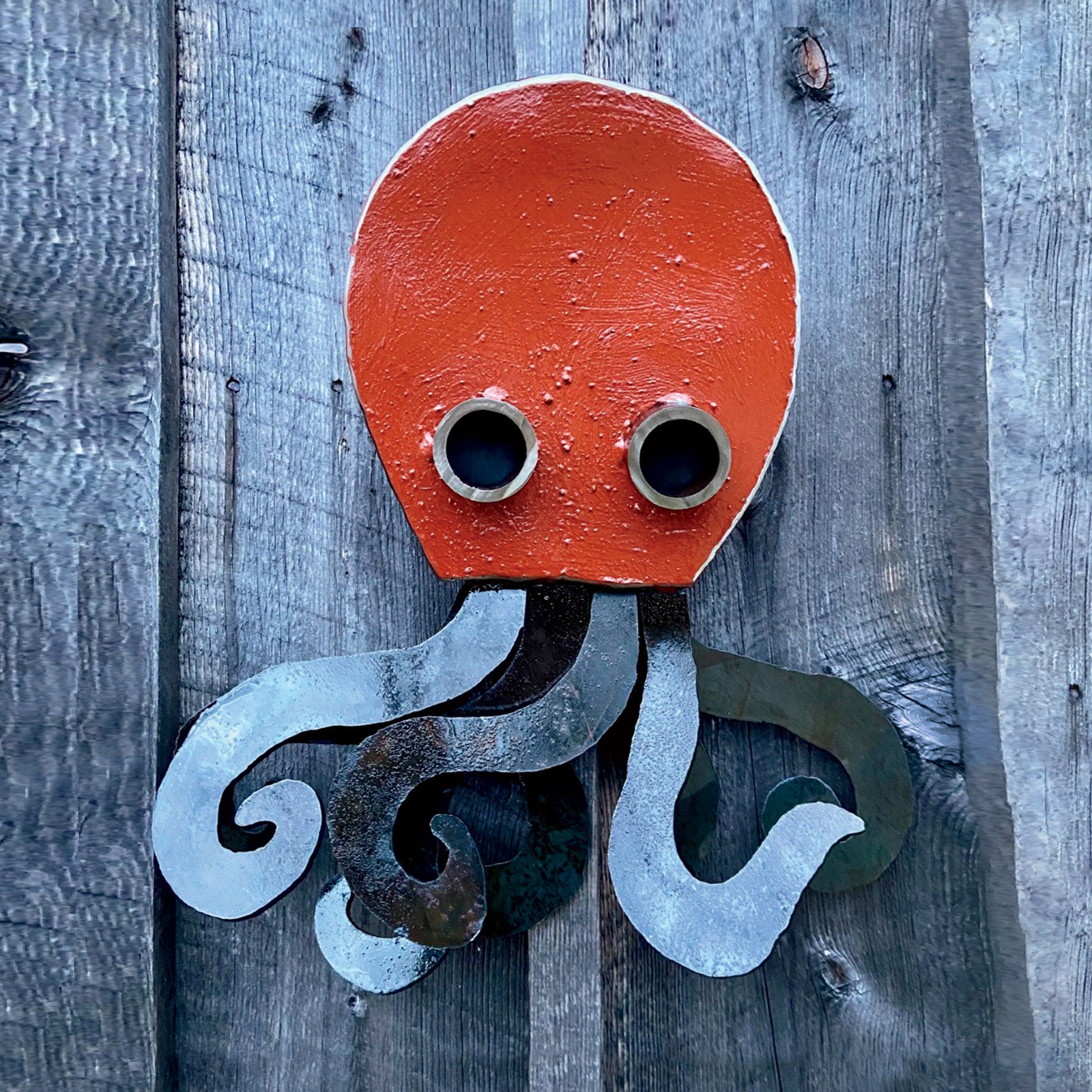 Oslo the Octopus