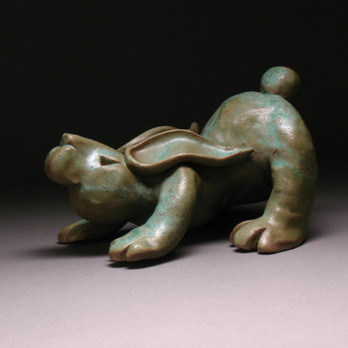 Downward Bunny