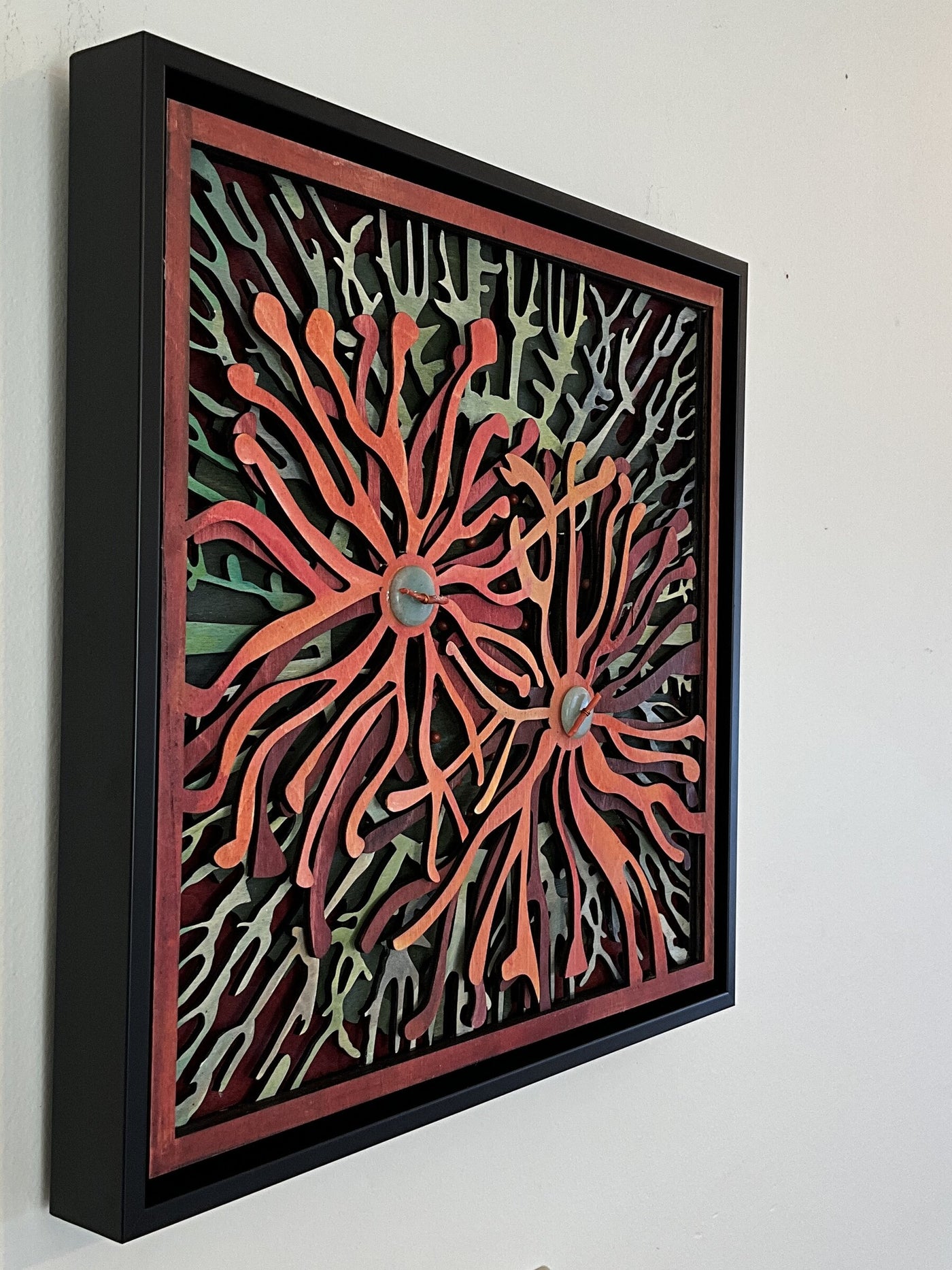 Peach Spider Mums