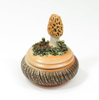 Morel