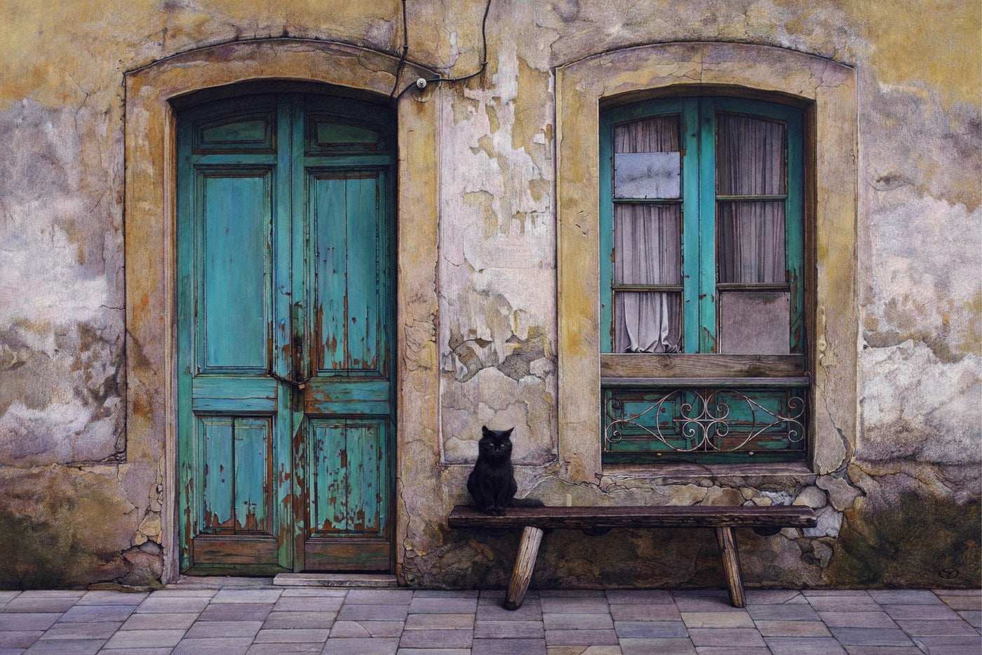 Black Cat