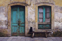 Black Cat
