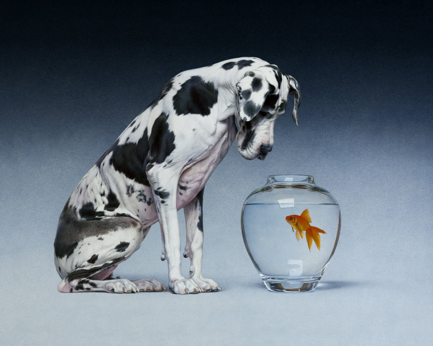 Dane and Fish