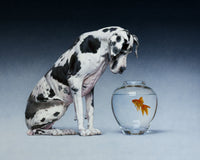 Dane and Fish