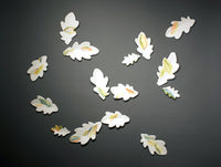 Leaf Leaf
