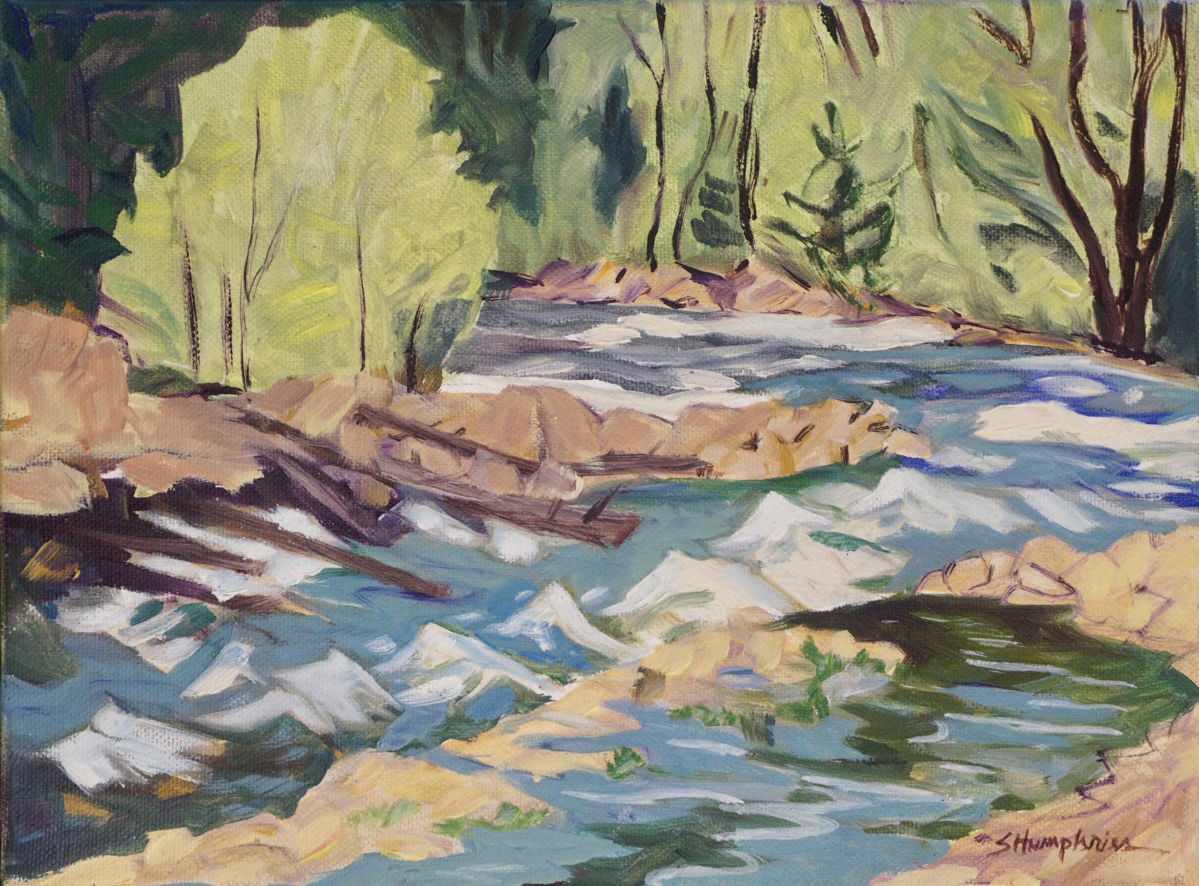La Plata Canyon #1