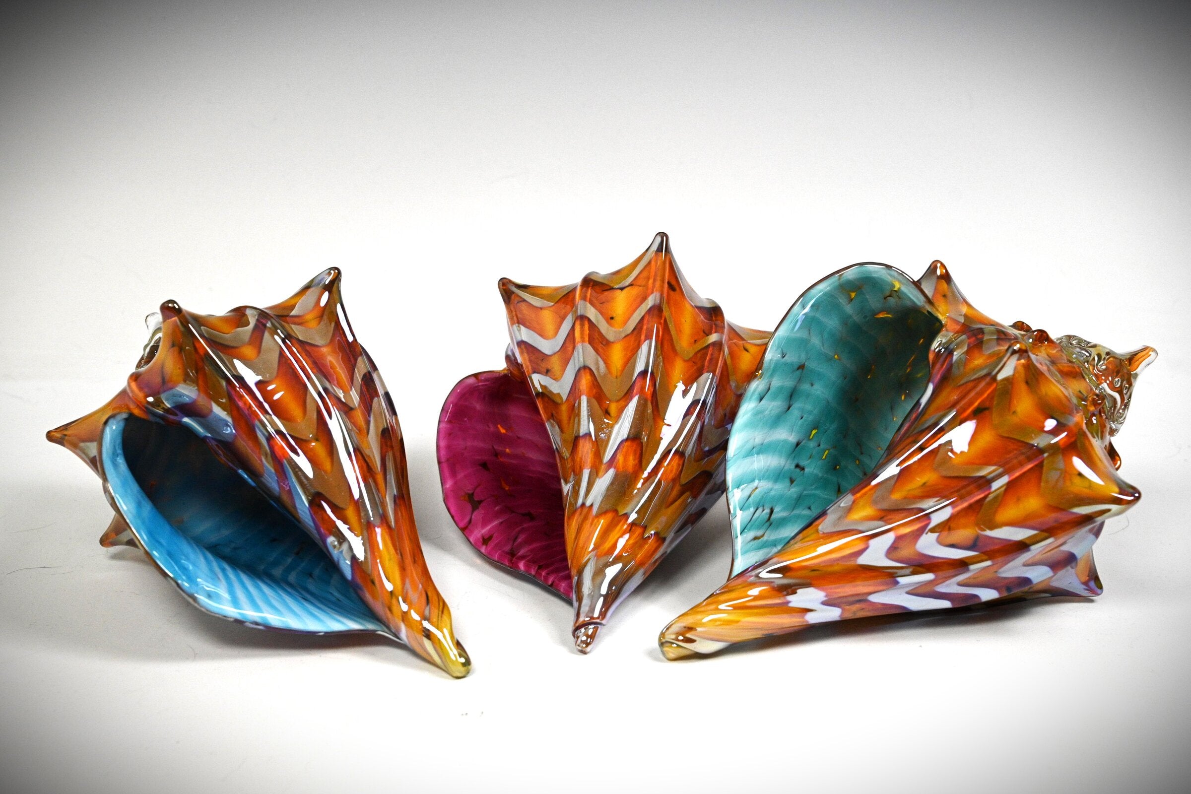 Two-Tone Amber Seashell