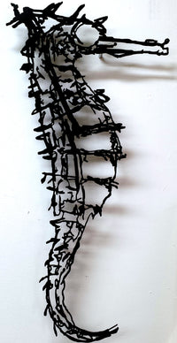 Seahorse I
