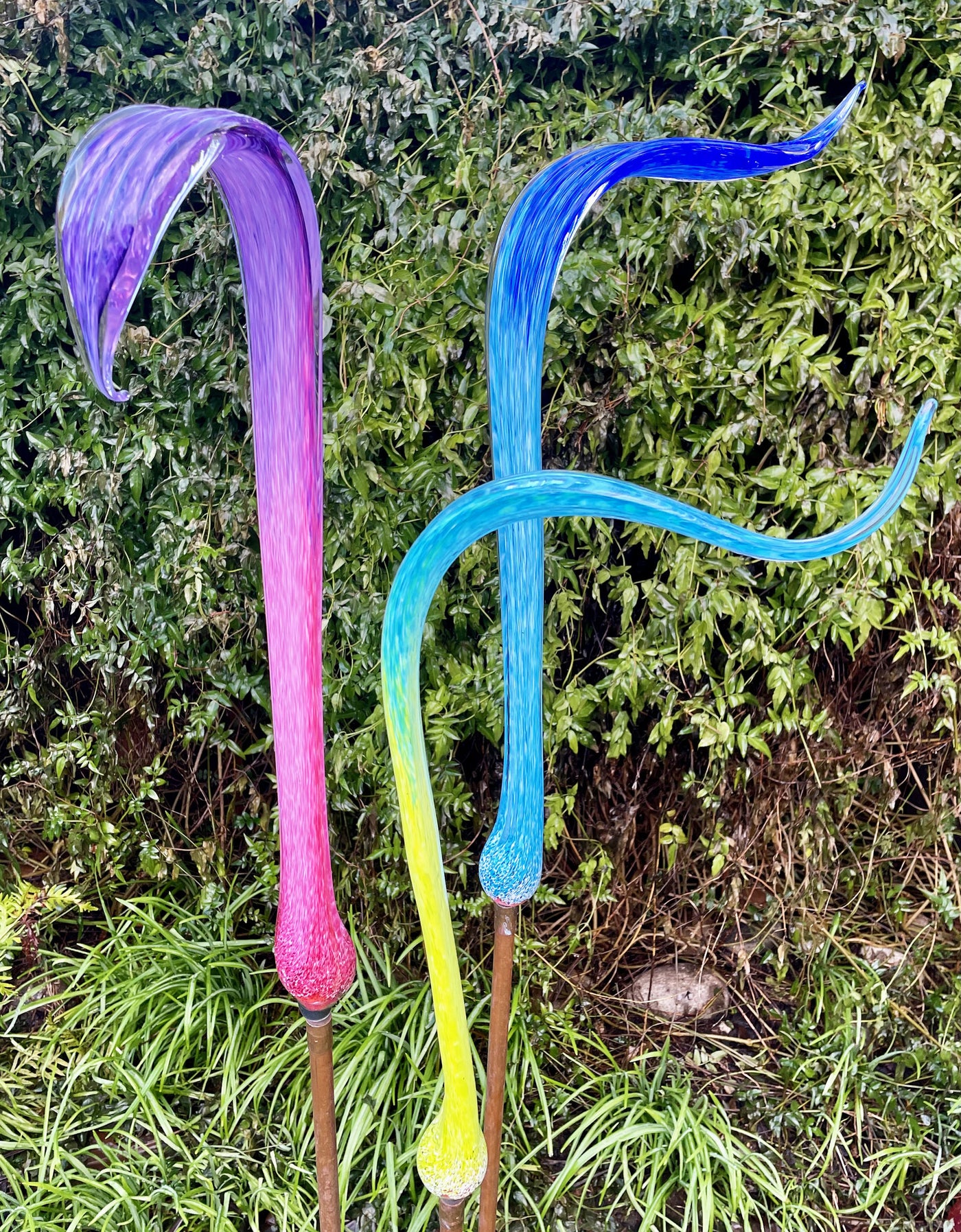 Garden Grass