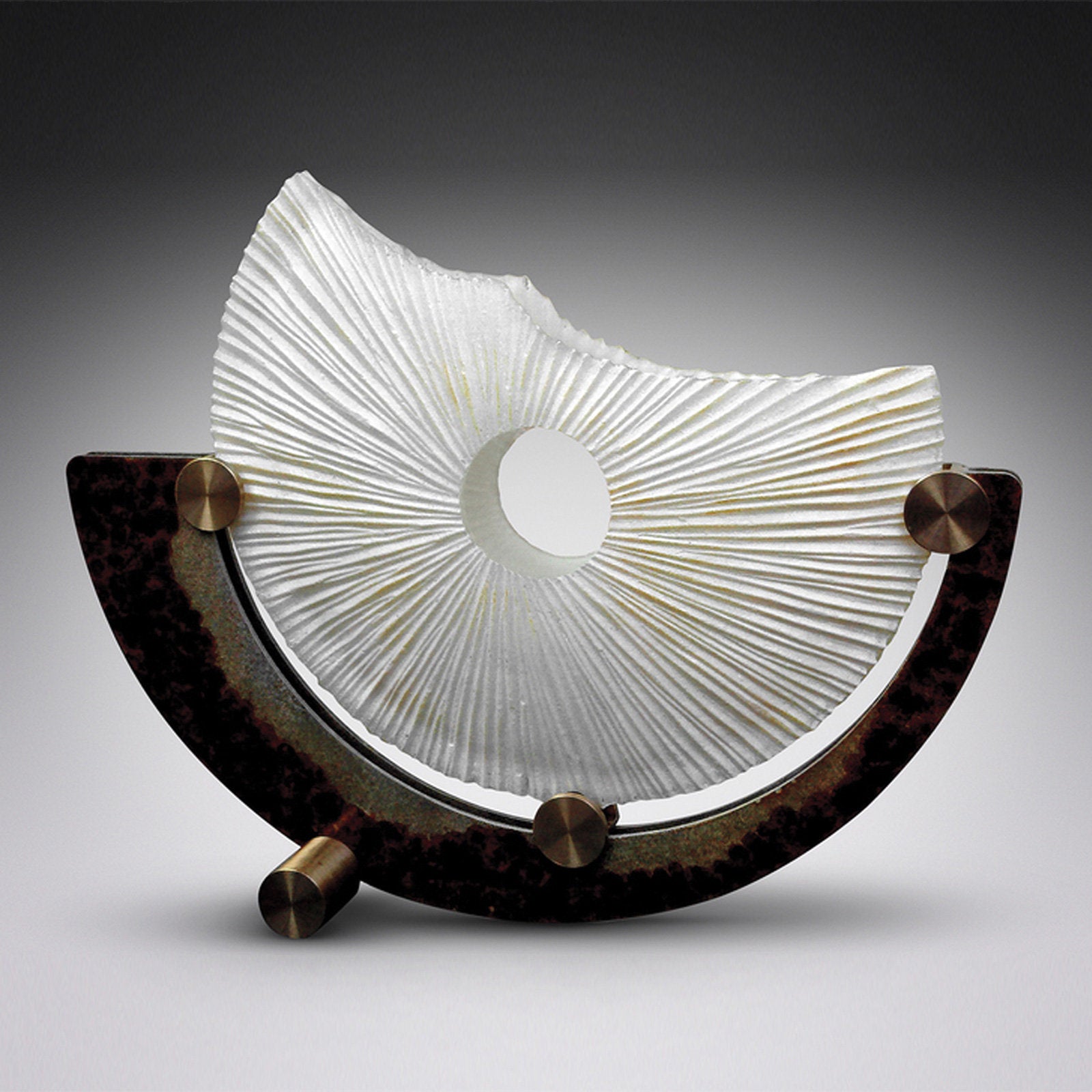 Shells Enduring Life