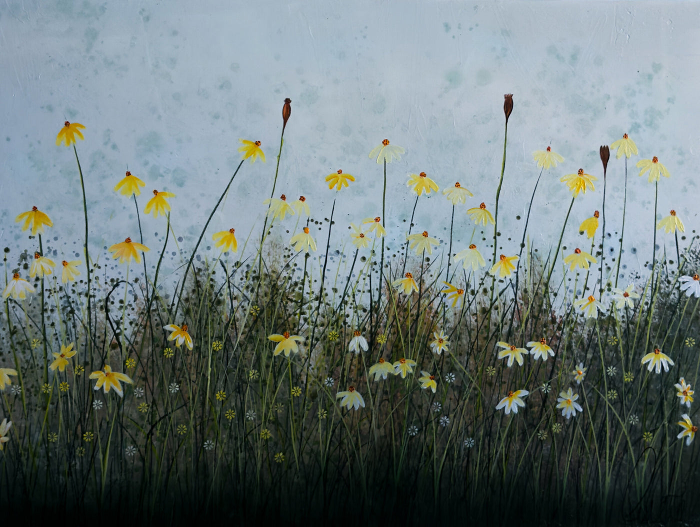 Yellow Daisies