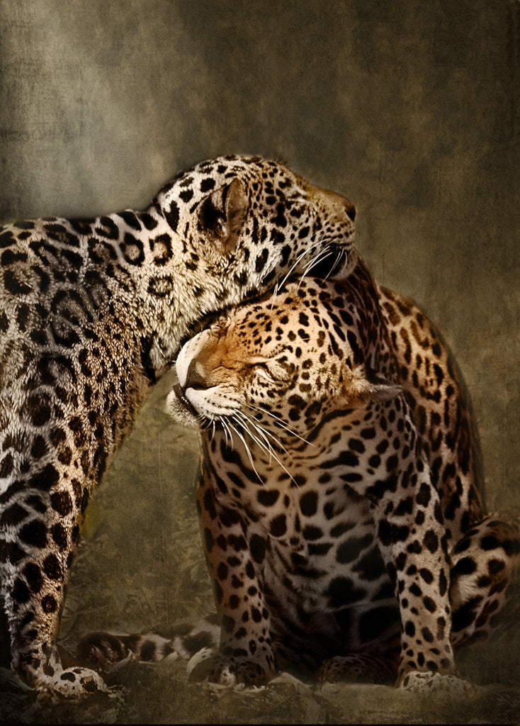Lean on Me
