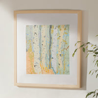 Aspen Map Two