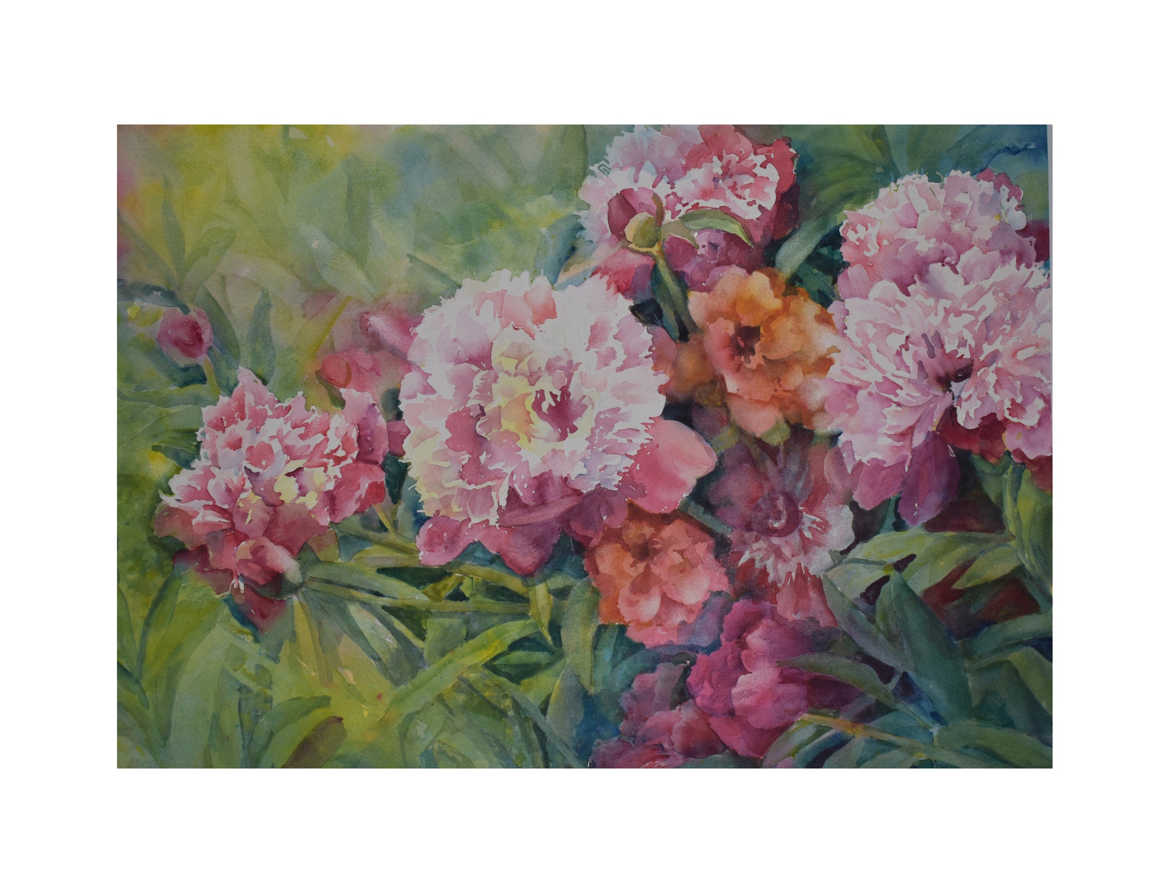 Garden Euphoria