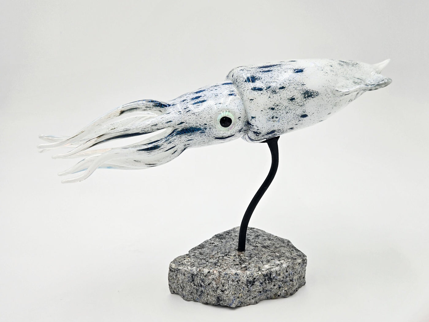 Reef Squid