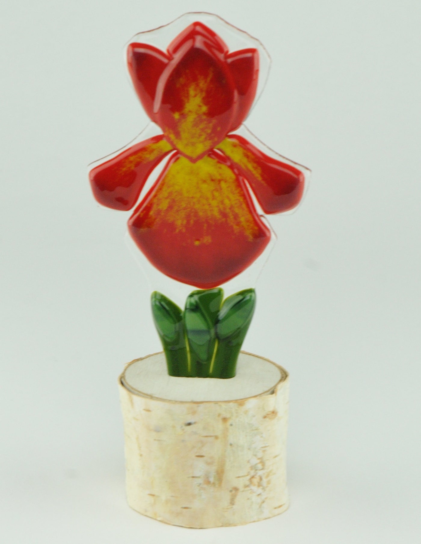 Fire Starter Iris