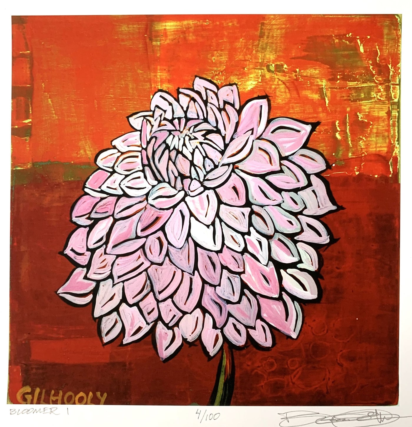 Bloomer 1