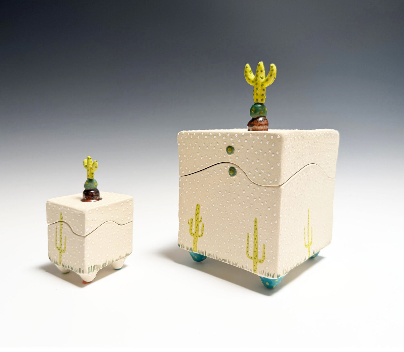 Cactus II Box