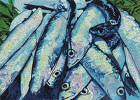 Sardines
