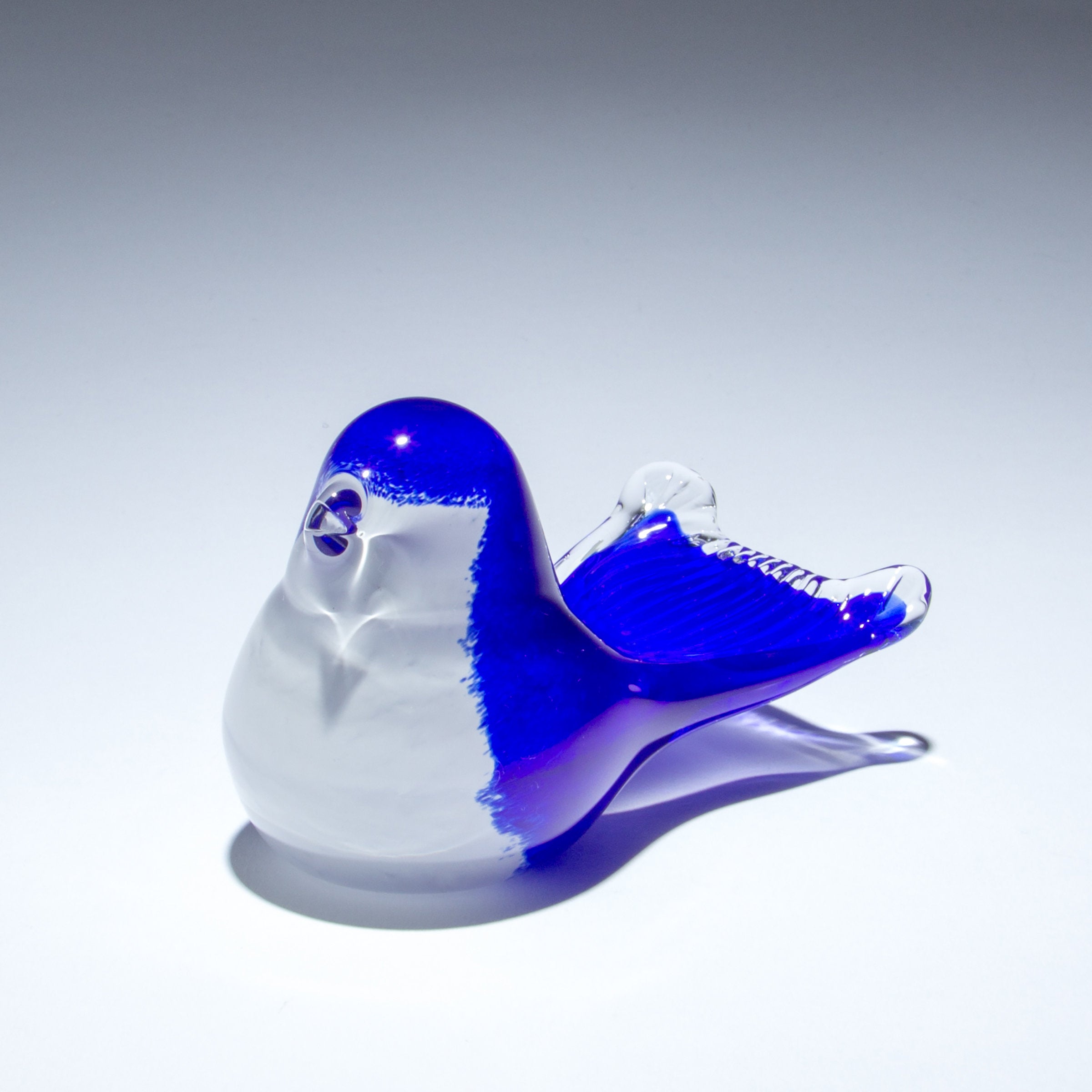 Birds of Beauty Bluebird