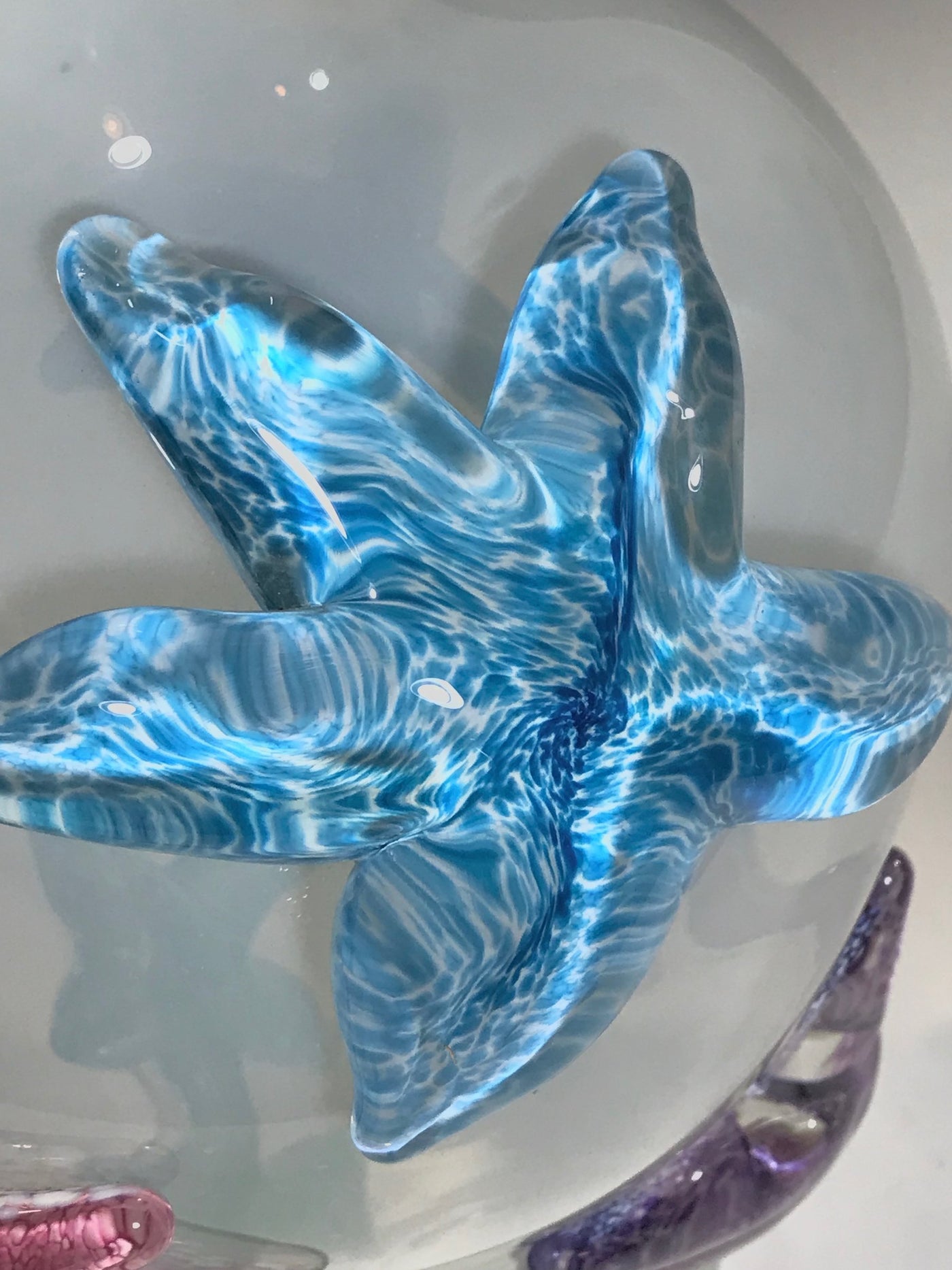 Starfish Amphora II