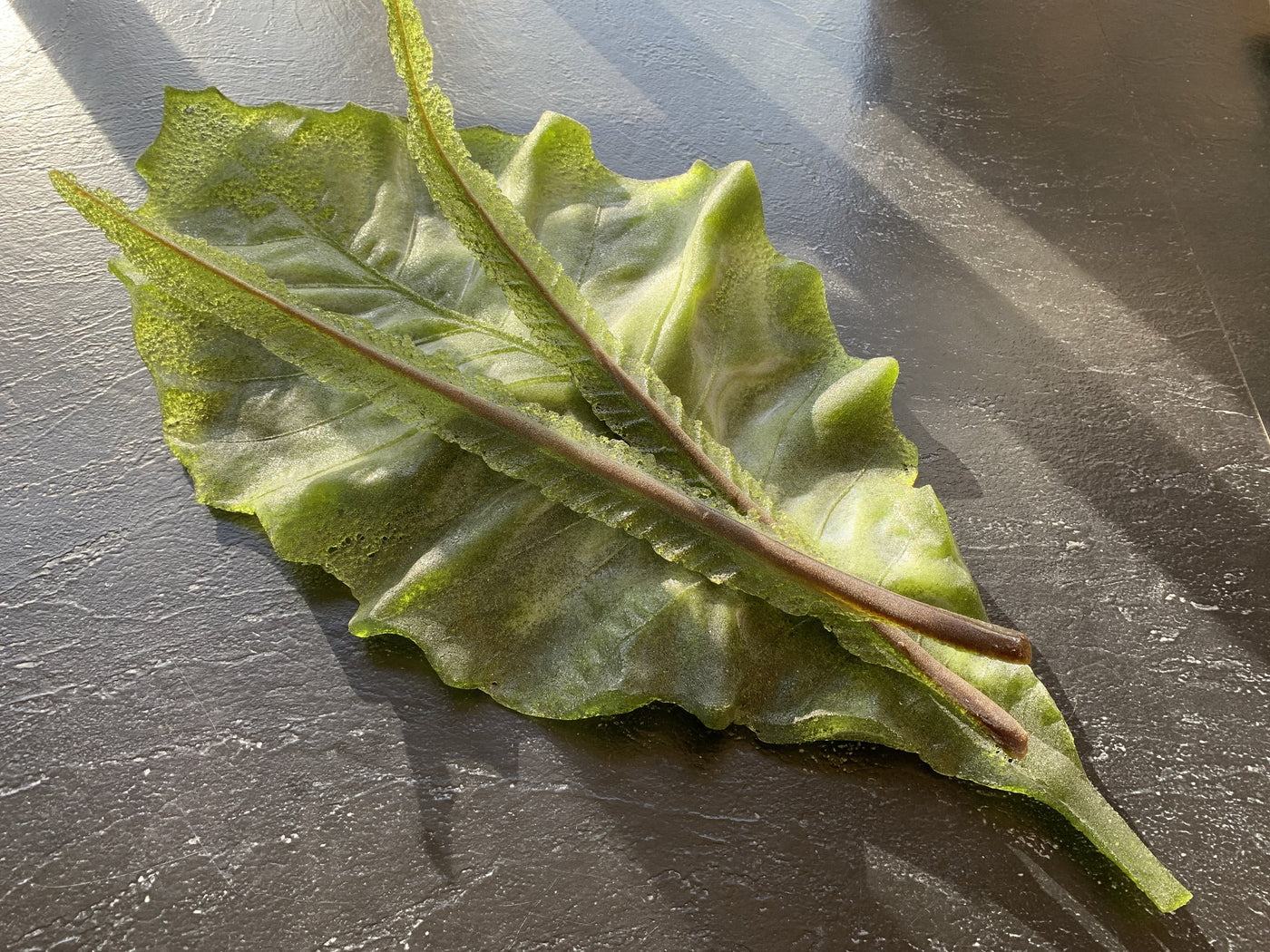 Large Jade Green Glass Leaves Set