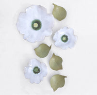 Dogwood Blossoms and Leaves