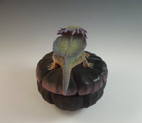 Big Daddy Horned Lizard Box