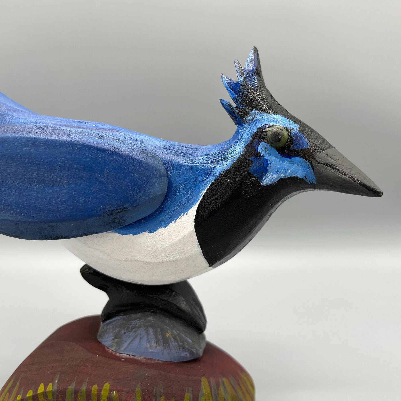 Black Throated Magpie Jay on Hill