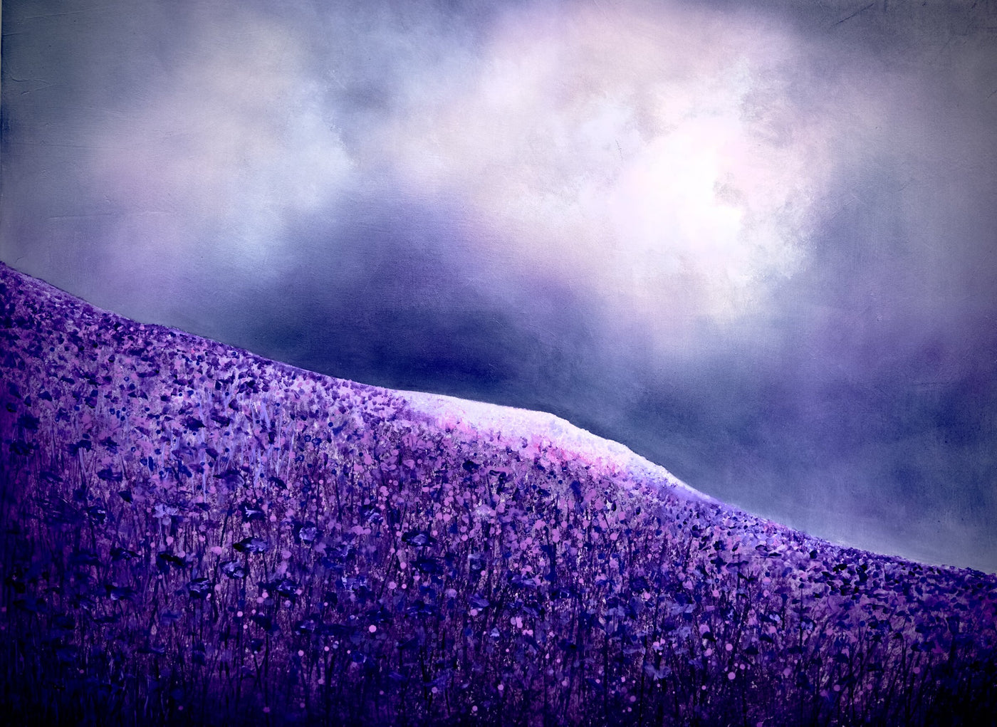 Purple Poppies