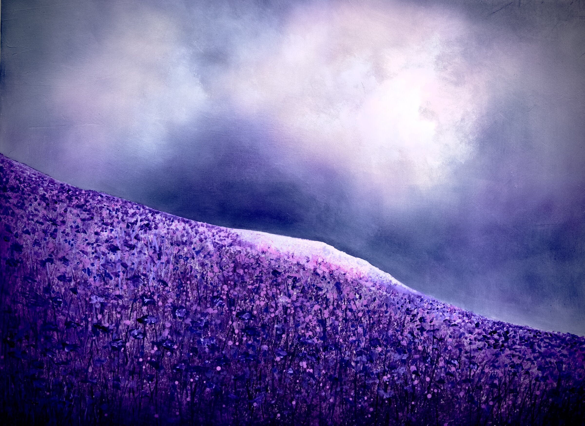 Purple Poppies