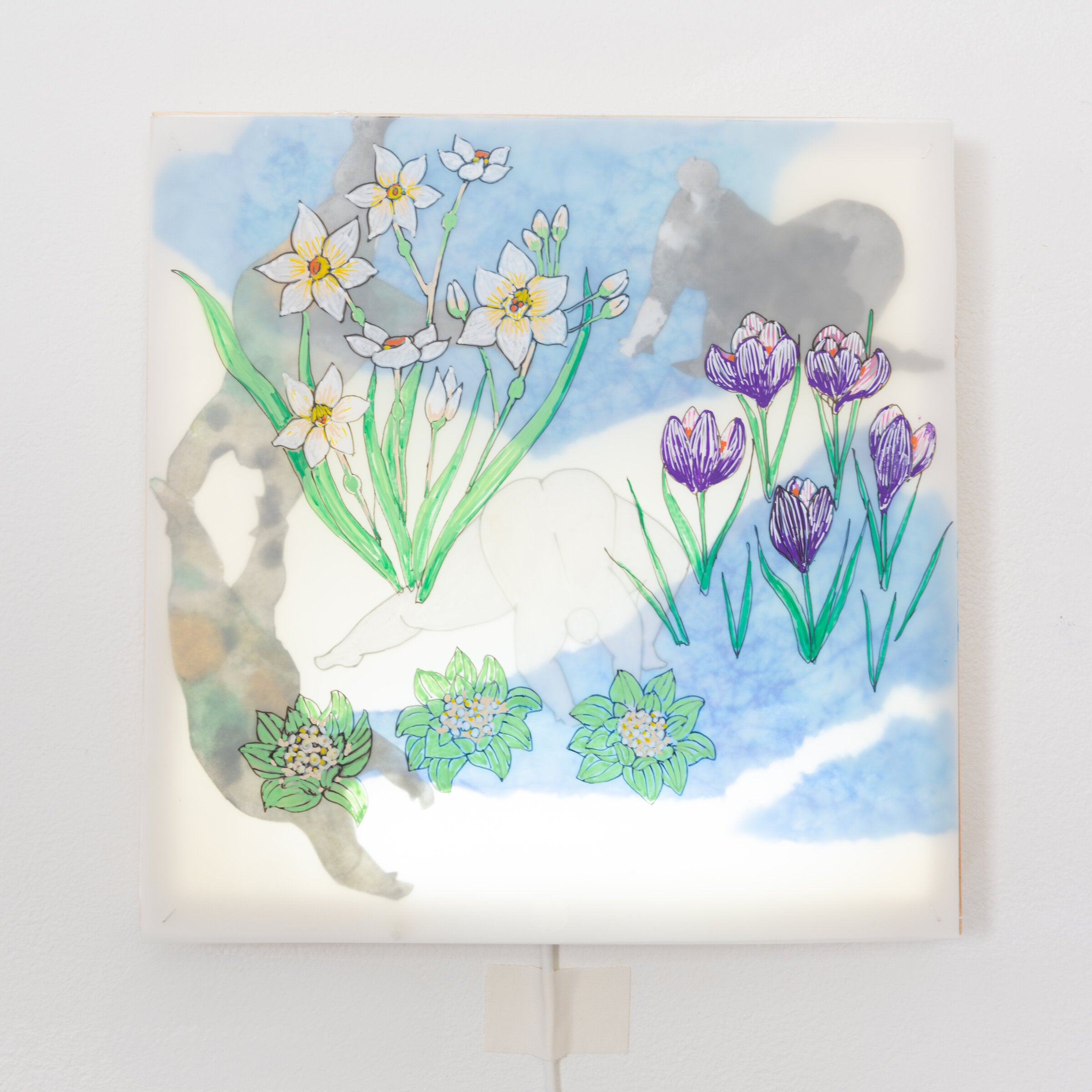Early Spring Sprouts Illuminated Box