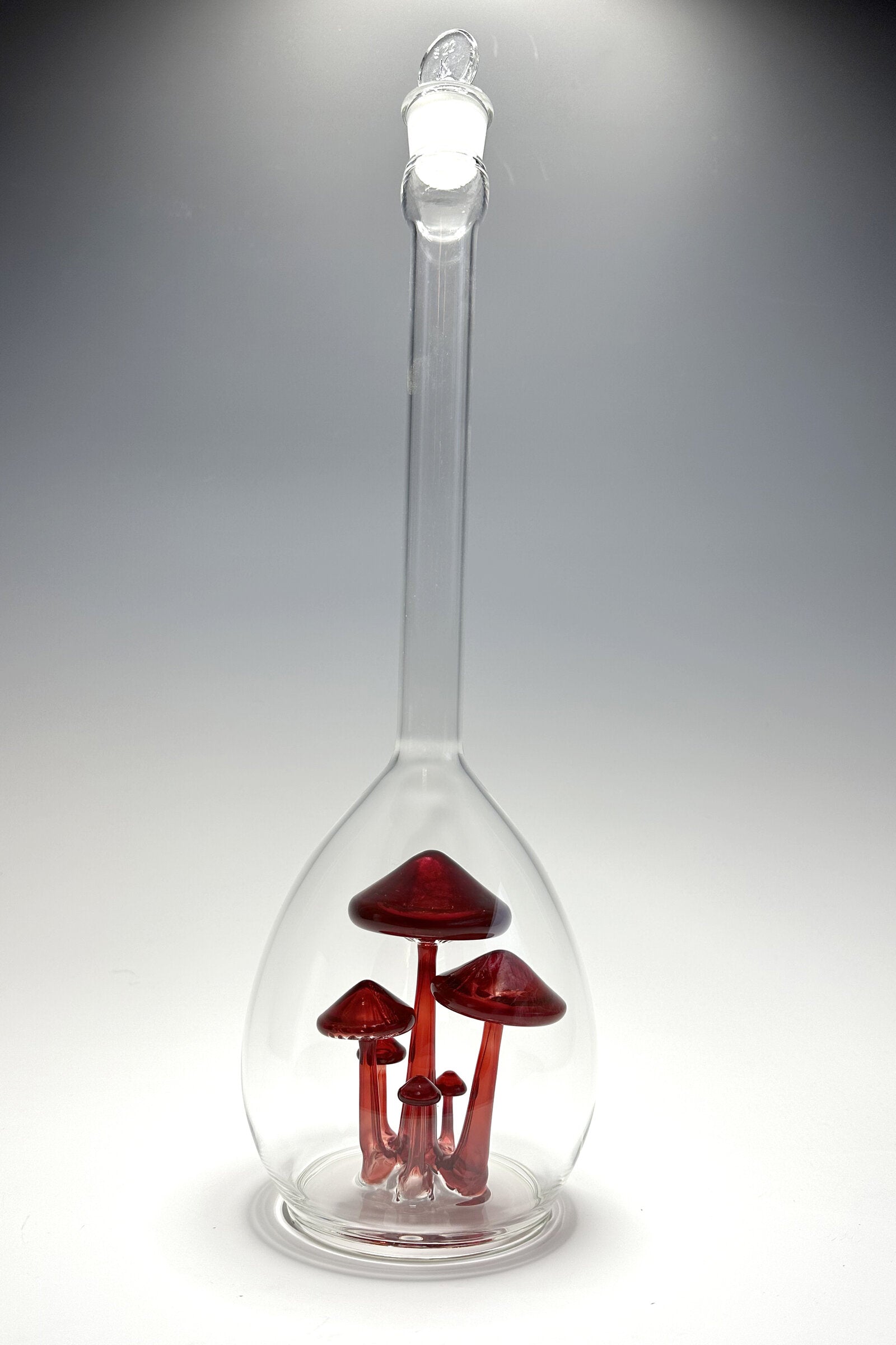Mushroom Specimen in Long Neck Jar
