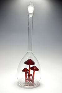 Mushroom Specimen in Long Neck Jar