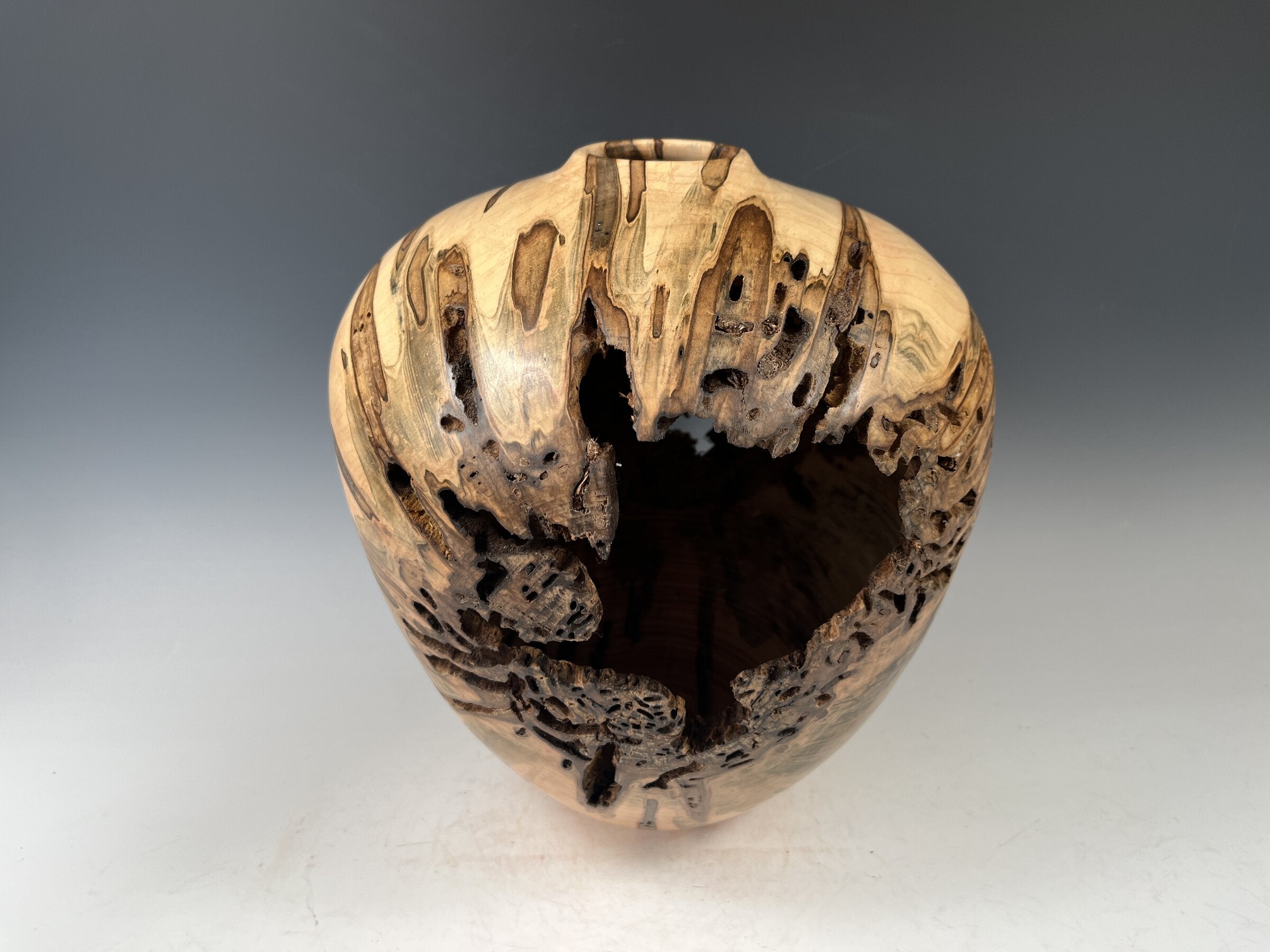 Ambrosia Maple Hollow Form Vessel III