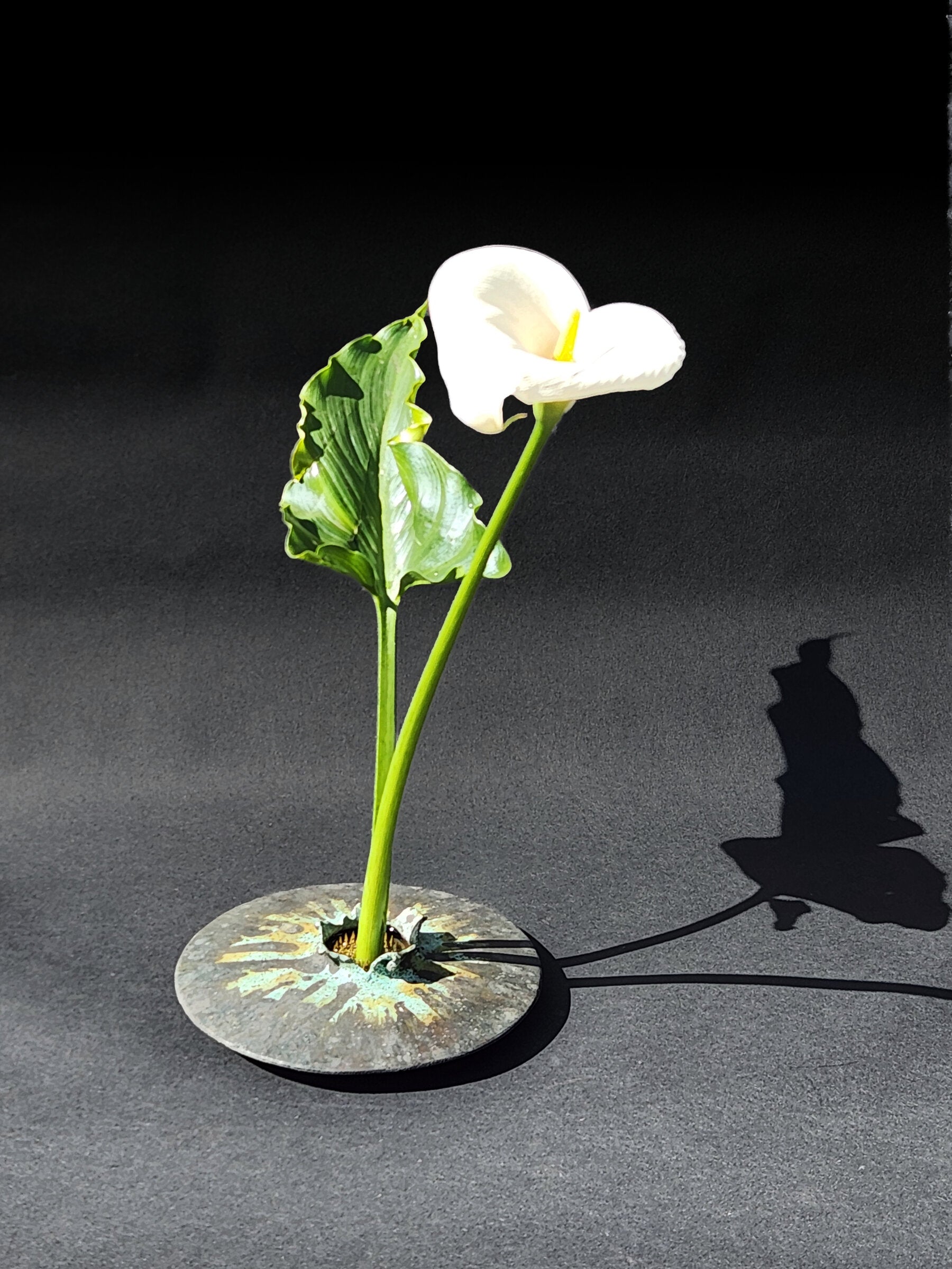 Tricolor lens vase with lily. Size large.
