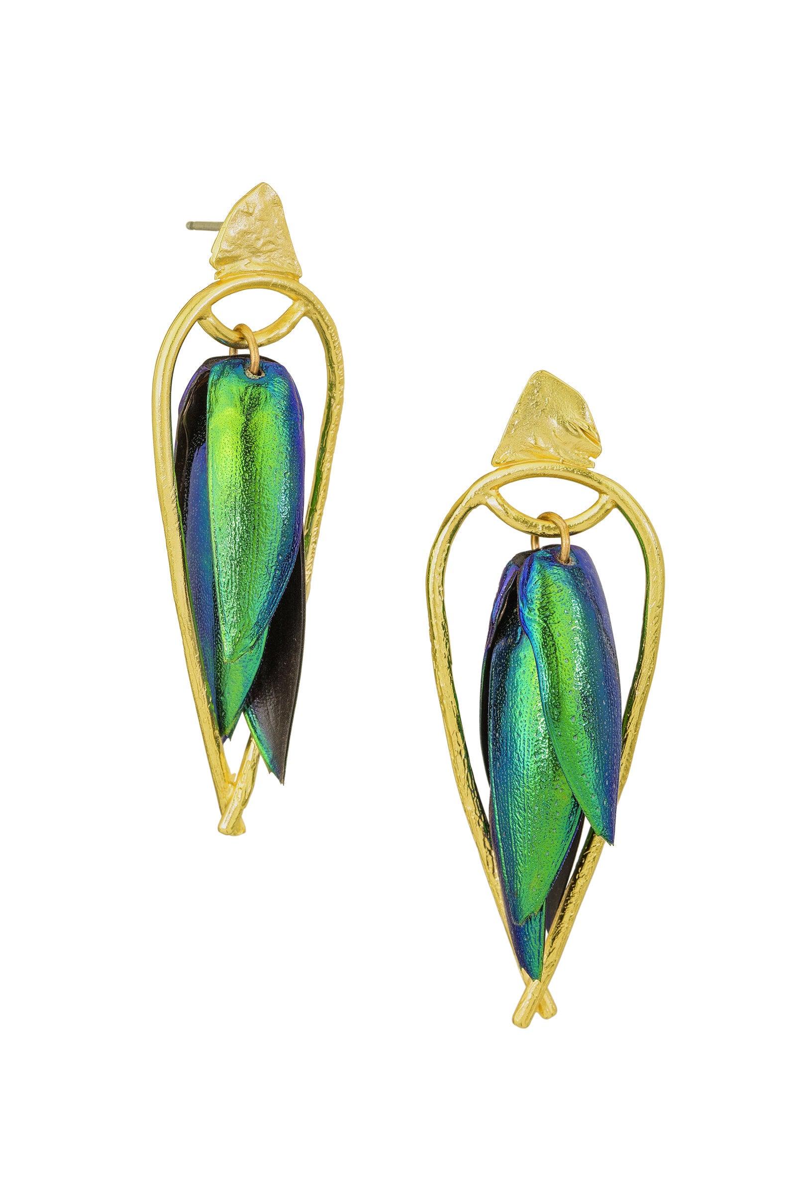 Photo by Cole Rodger Photographics