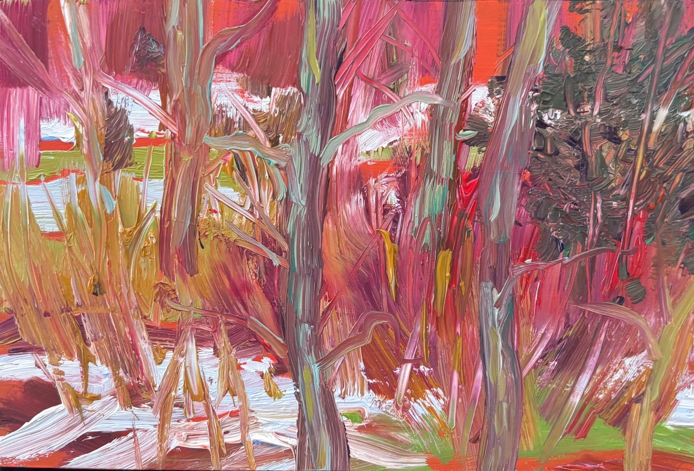 Embers of Spring