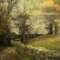Imagining This Place