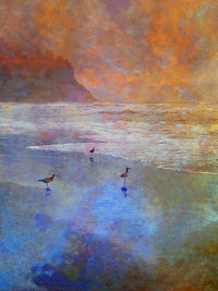 Oyster Catchers by the Sea