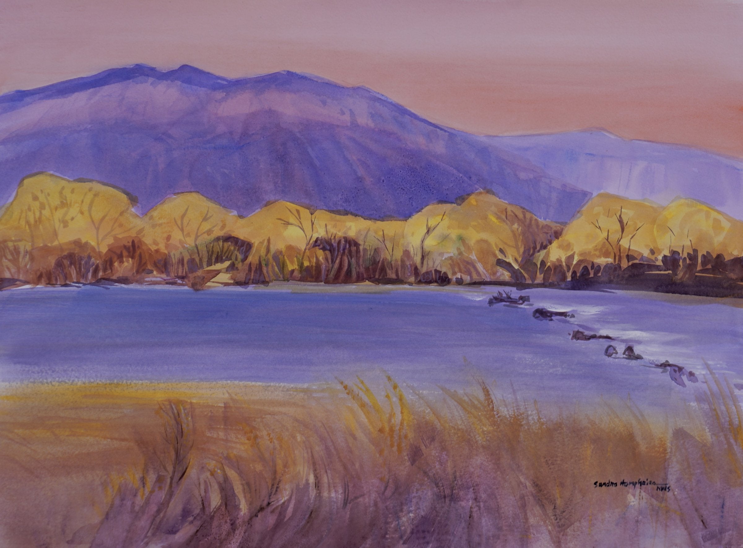 Cottonwoods Across the Rio Grande