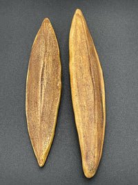 Seeds of Change, Grouping 2